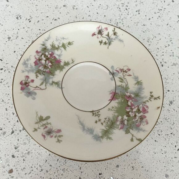 Vintage Theodore HAVILAND New York Apple Blossom Footed Tea Cup & Saucer Set - Picture 4 of 5